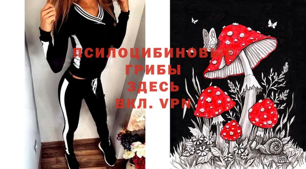 кокс Магас